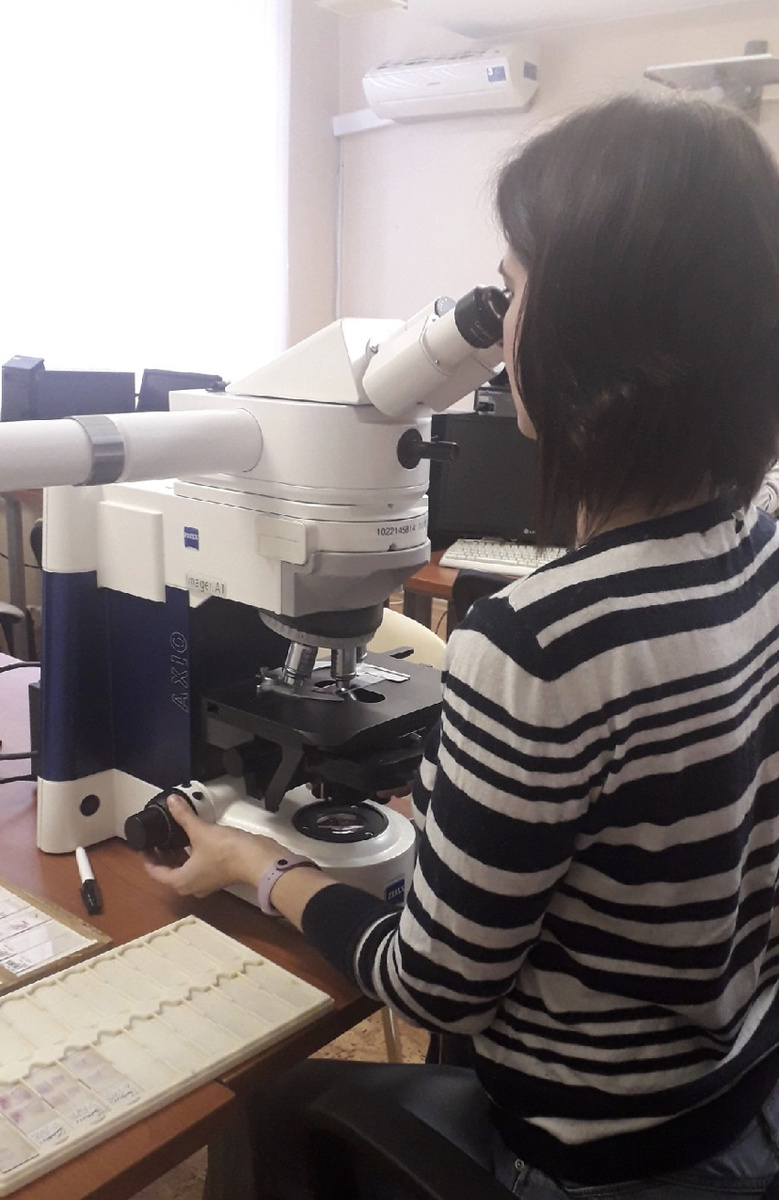 Целый день за микроскопом