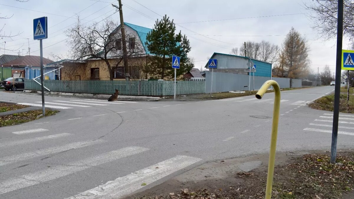     Источник: nashgorod.ru