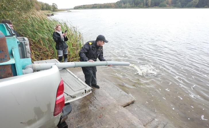    Фото предоставлено пресс-службой МГОК