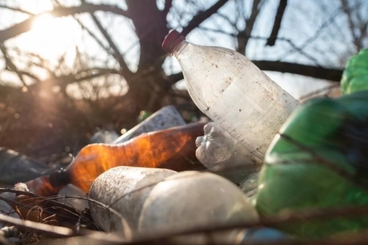    В Камешковском районе нашли нелегальную свалку