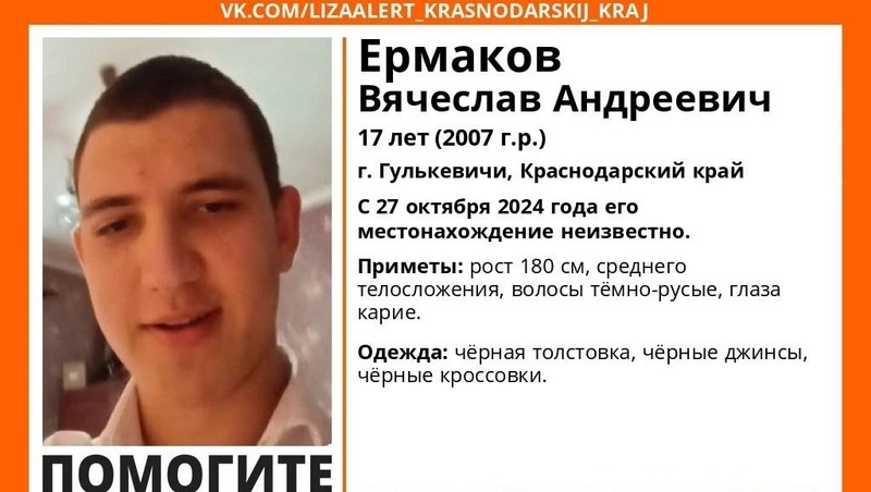      Фото: ПСО «ЛизаАлерт»