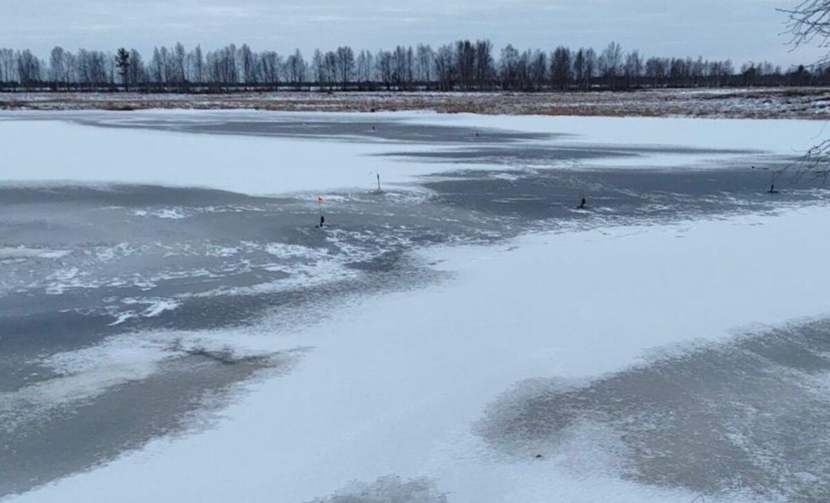    Житель Ноябрьска утонул в водоеме на севере Сургутского района
