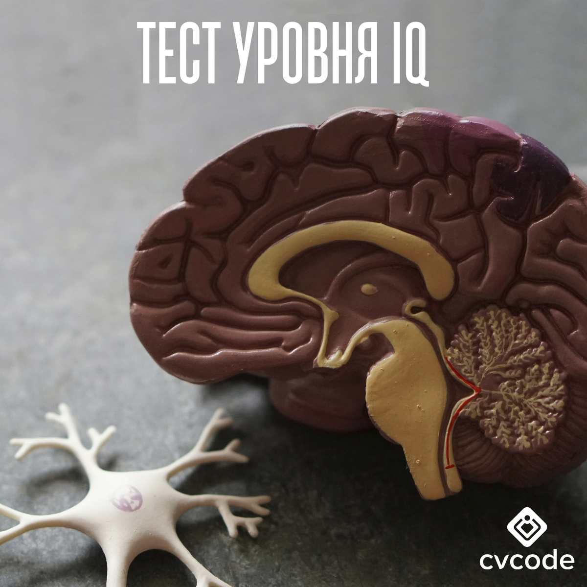 Источник: unsplash.com