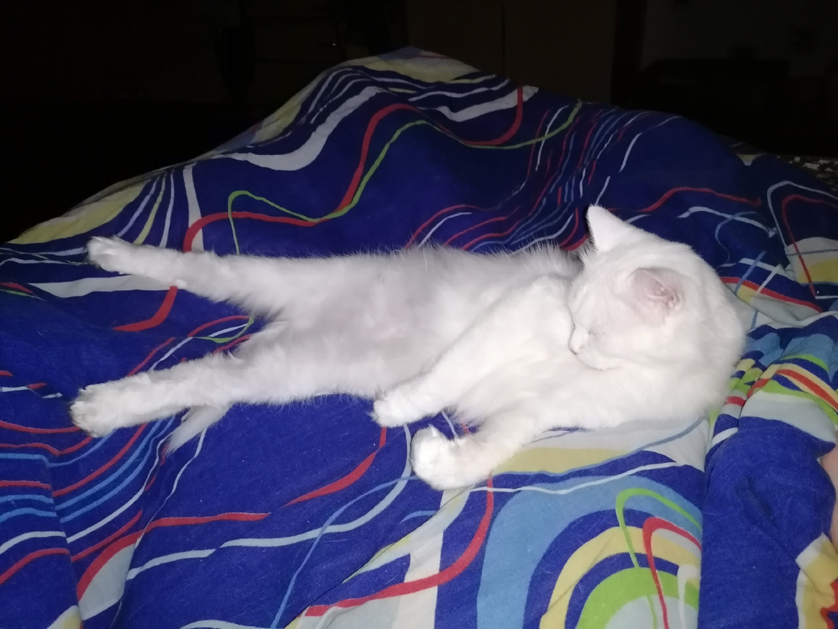 Архивное фото