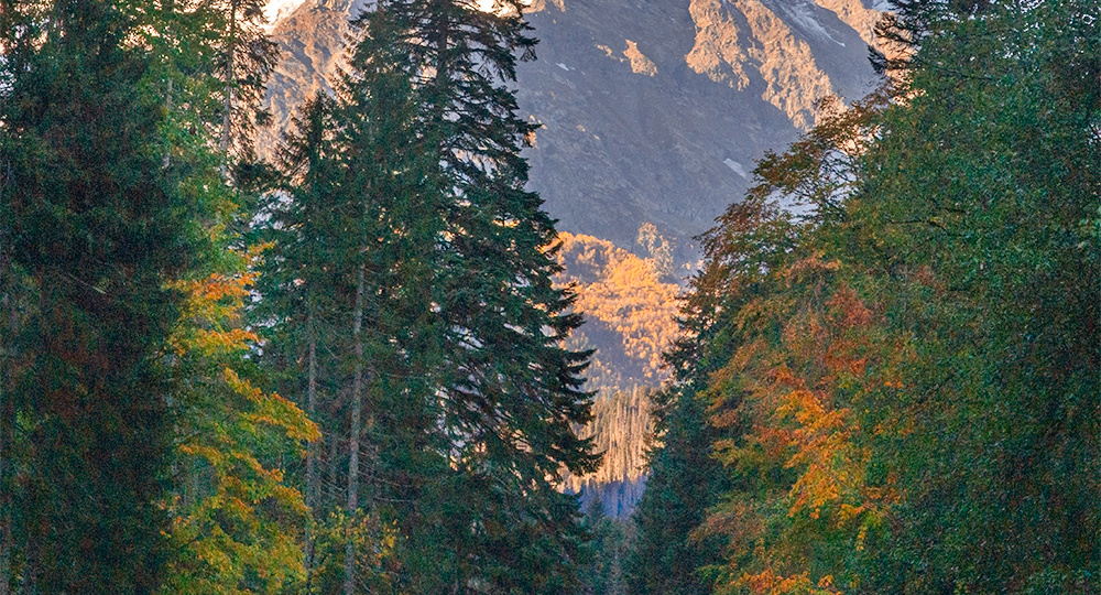 Домбайские зарисовки