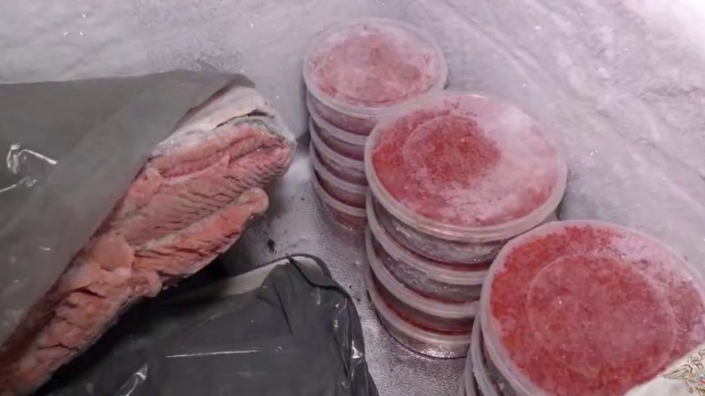    Скриншот видео МВД России