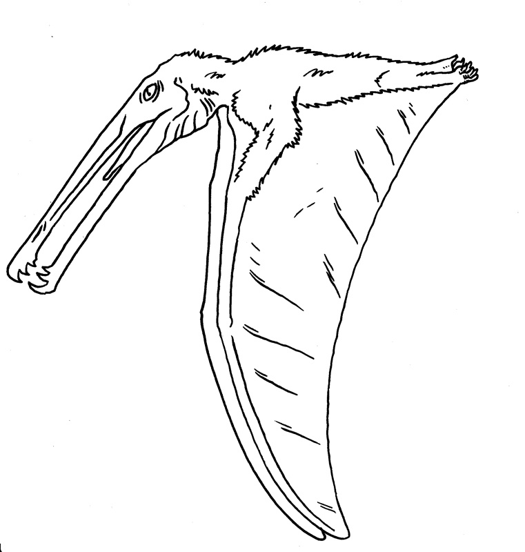 Небесный пинцет. Худ. Тим Моррис.