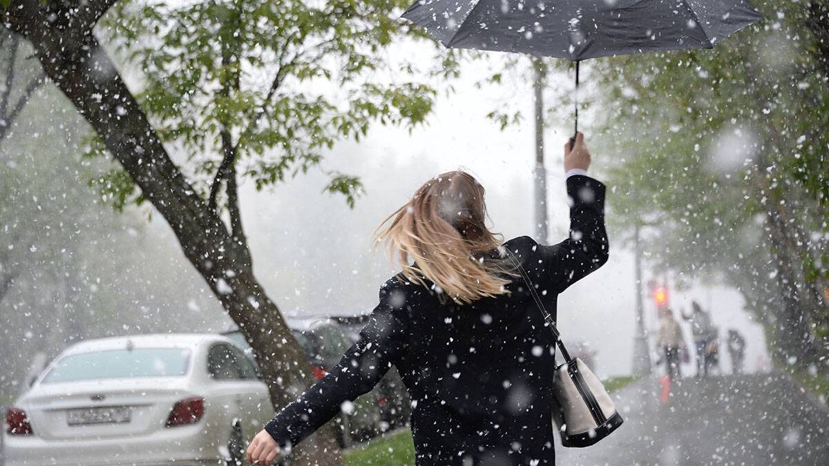    Фото: Пелагия Замятина / Вечерняя Москва