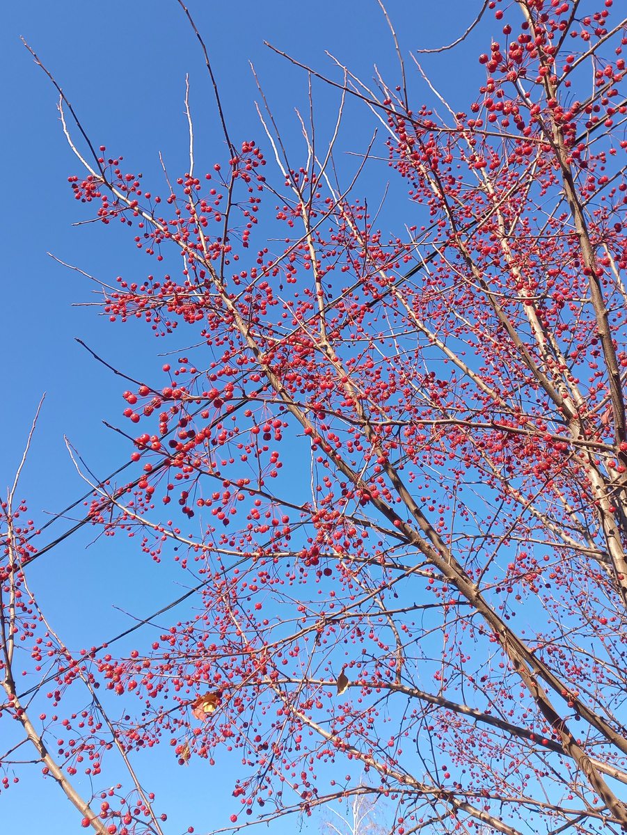 Какое небо голубое