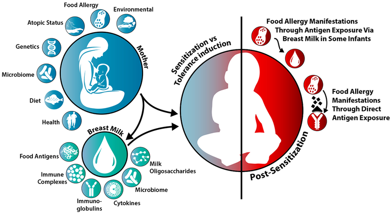 Авторы другого исследования показывают, 