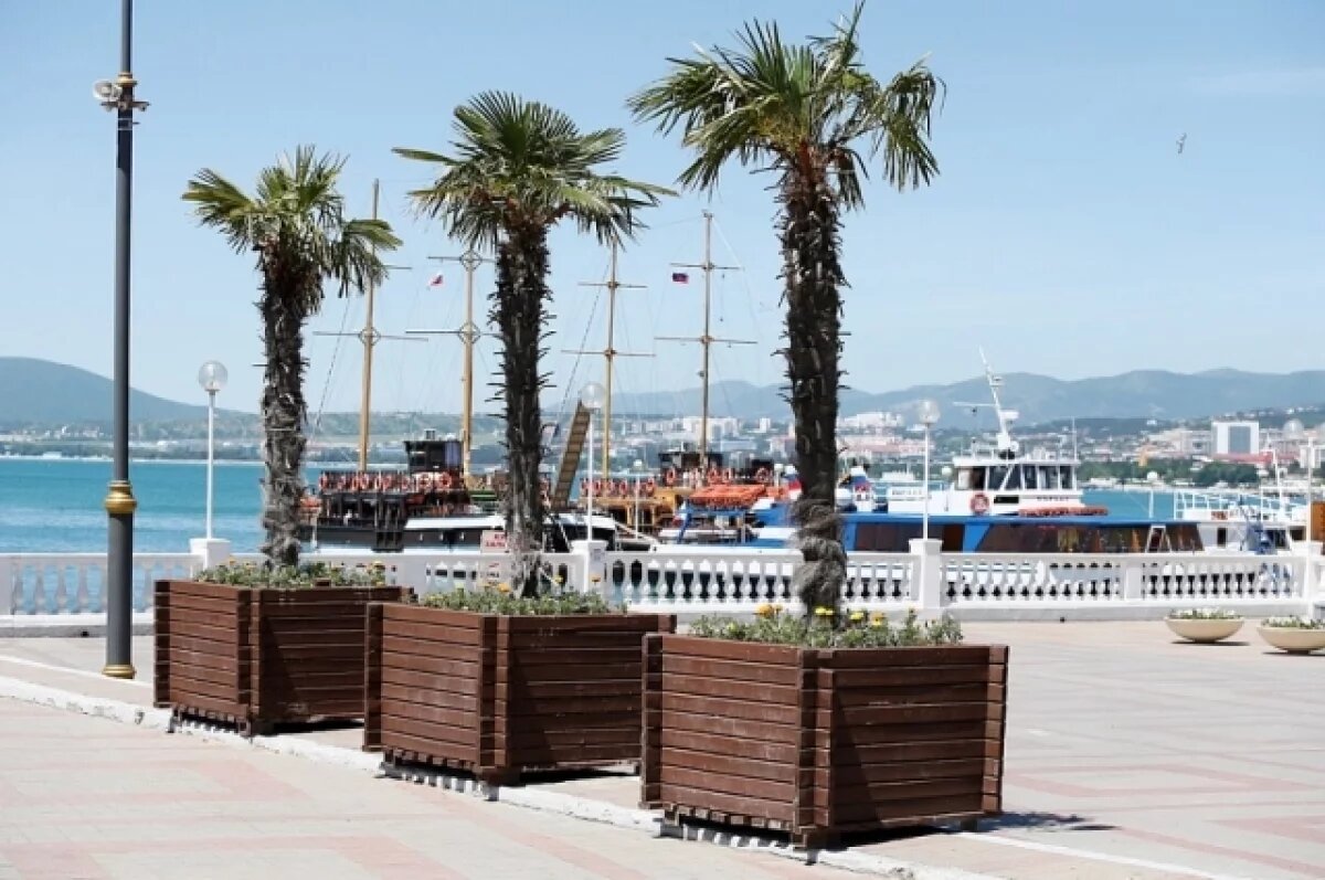    На Кубани в 2024 году налоговые отчисления от турсферы увеличились на 30,3%