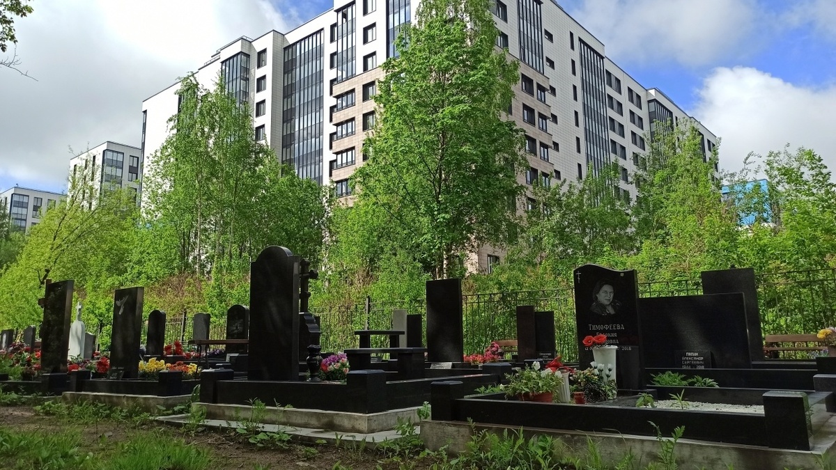 Изменение сайт картинки https://goo.su/RzpncYb