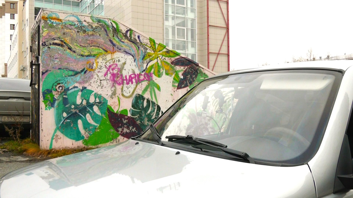    В Сургуте видеофиксатор зарегистрировал первые незаконные граффити