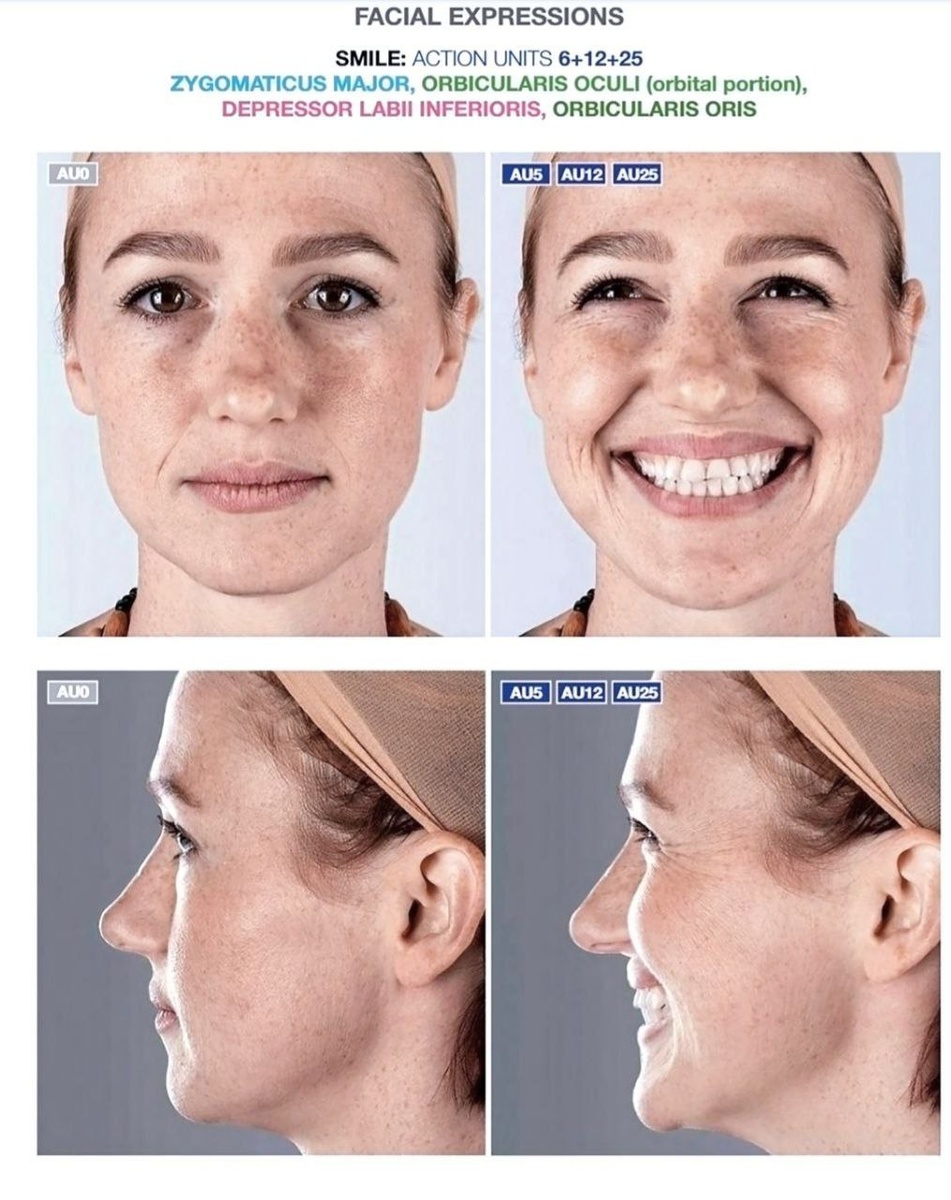 *иллюстрации взяты из атласа Uldis Zarins «Anatomy of Facial Expression 2017»