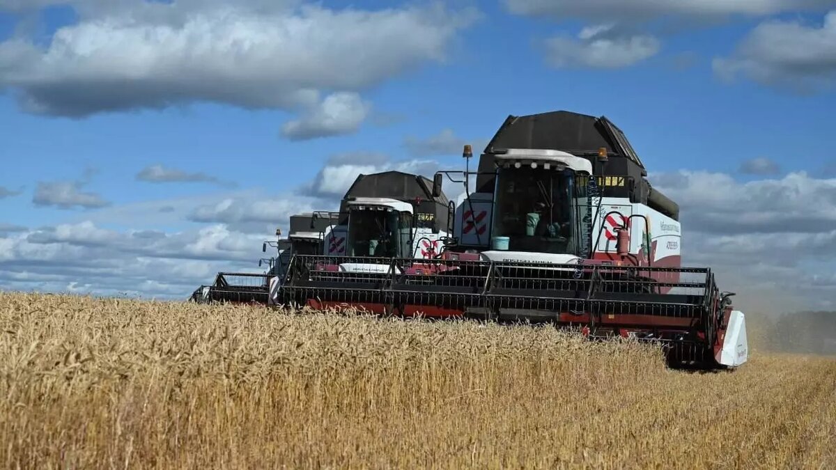     Источник: соцсети Алексея Текслера