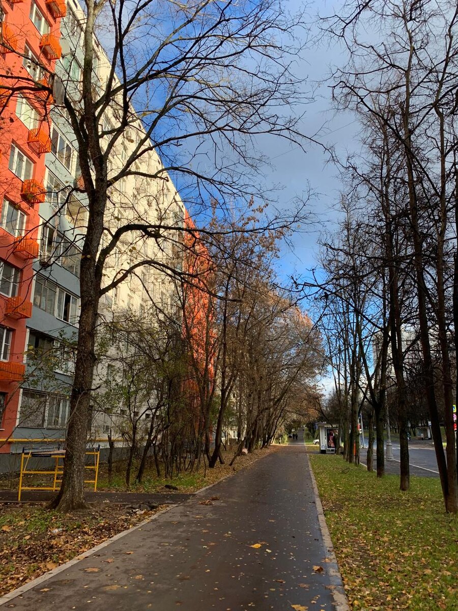 Моя вчерашняя дорога. 