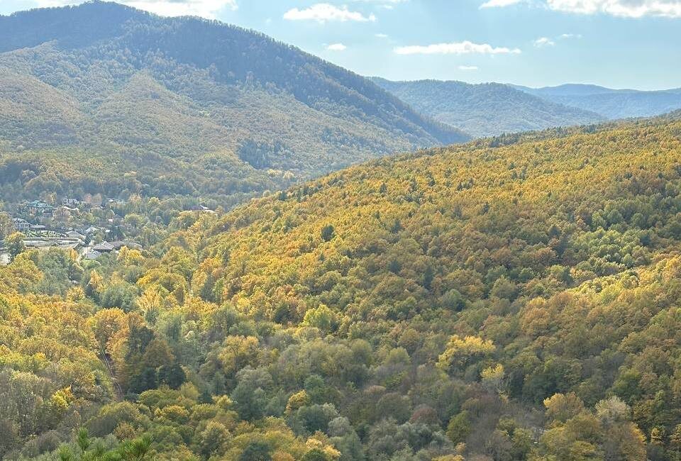 Фото: "Краснодарские известия"