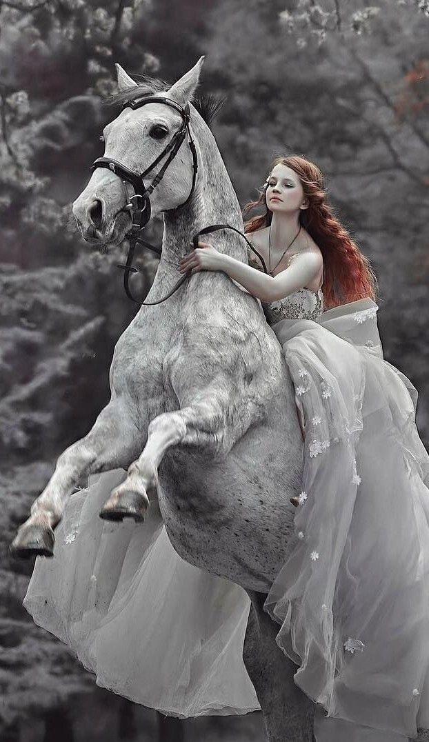 красавица на коне