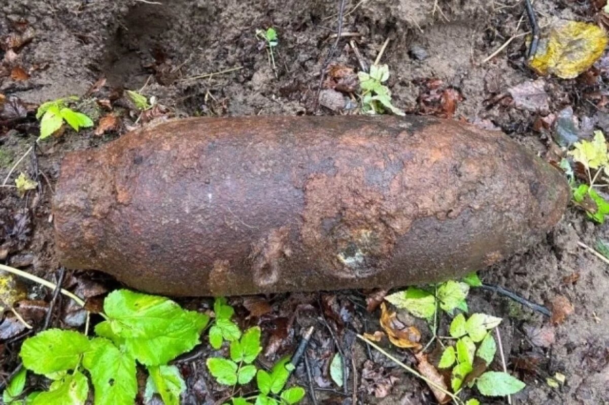    Псковские пиротехники уничтожили авиабомбу времен ВОВ