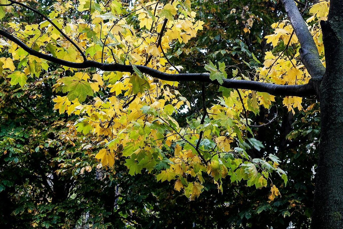     Roman Denisov/globallookpress.com