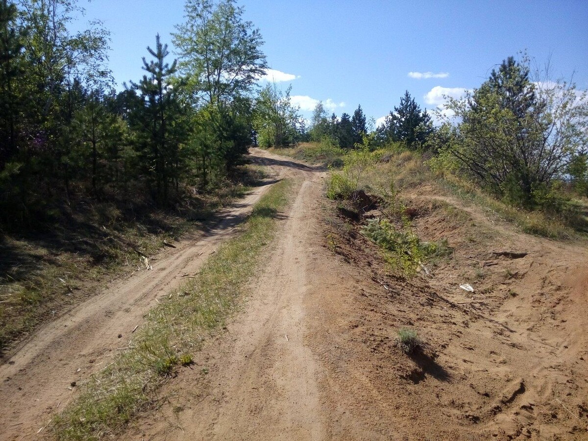    Фото: Кравчук Александр