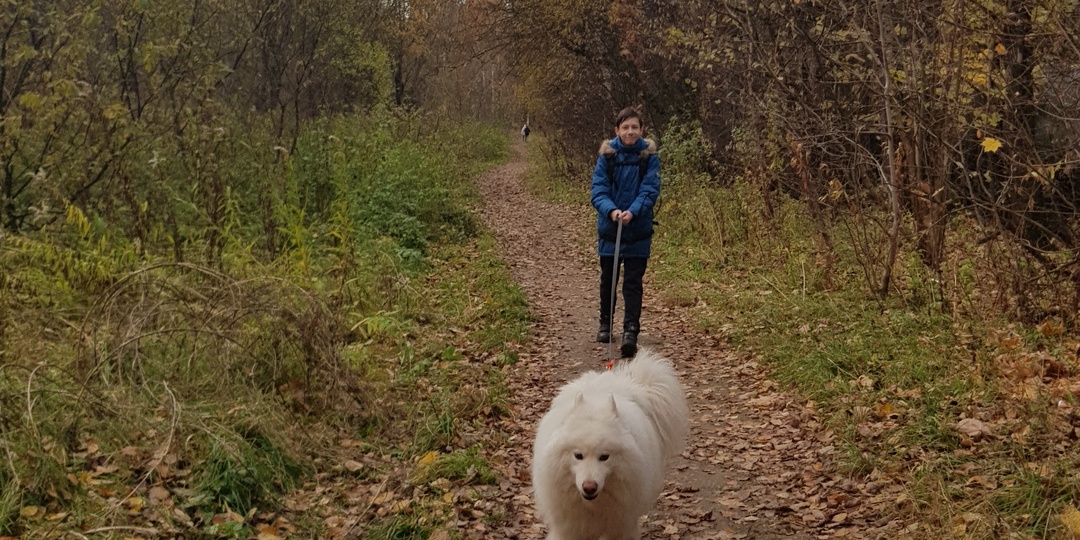 Осенняя прогулка