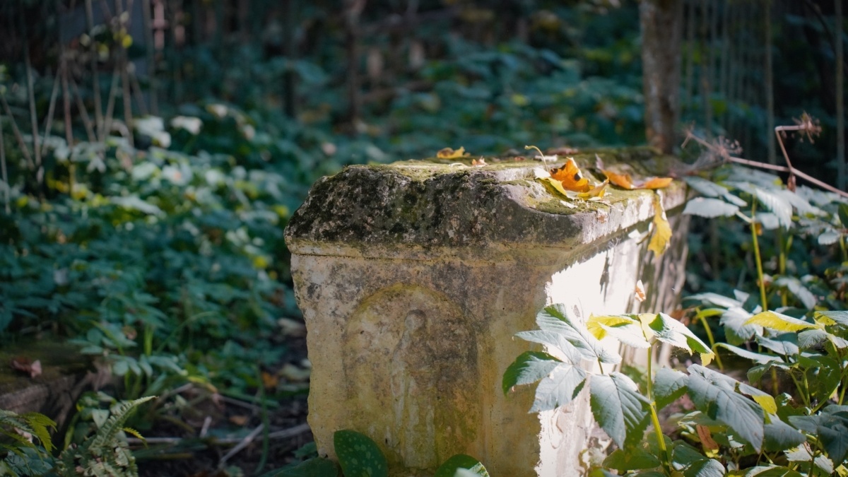 Светлана Мулыкина📷
