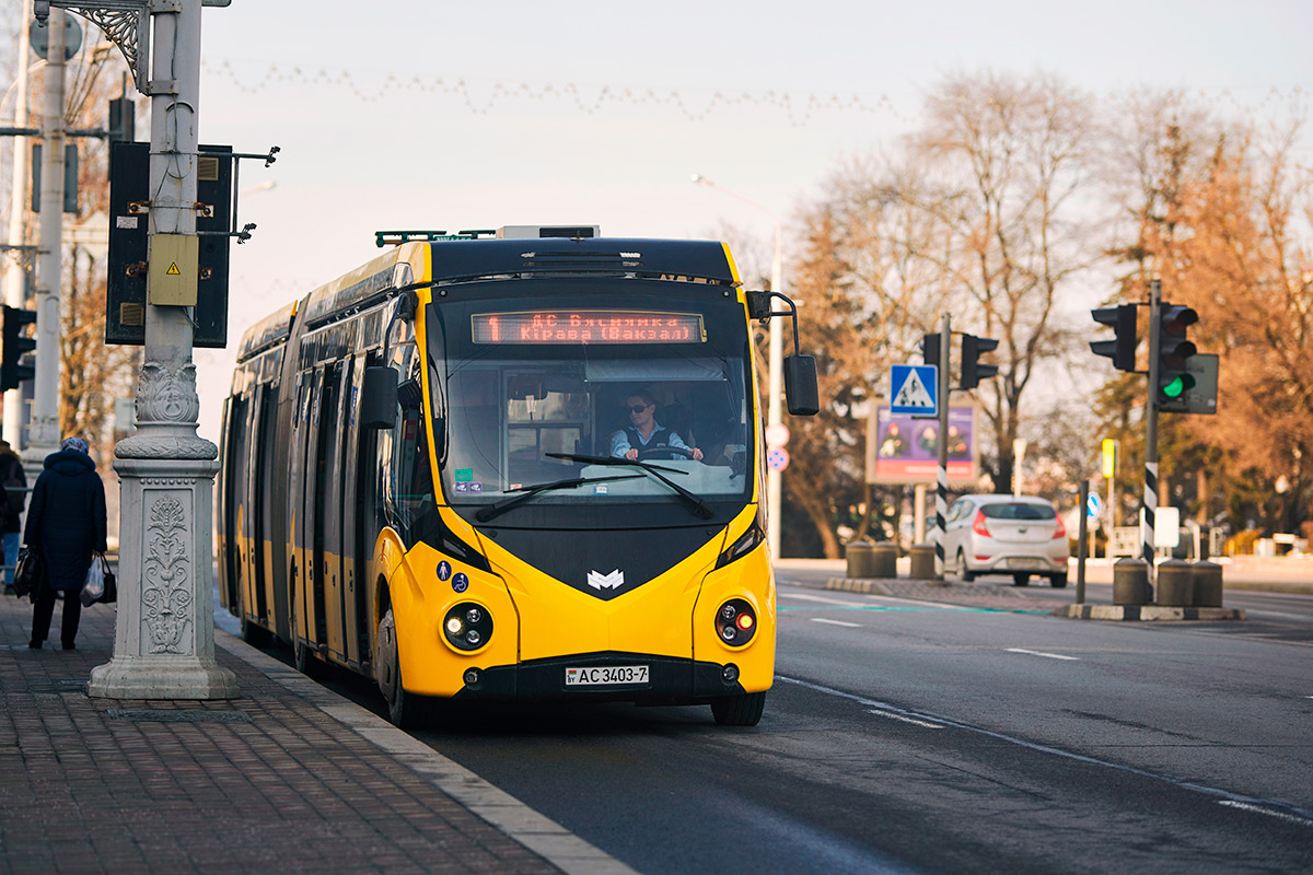    Фото: Tricky_Shark / Shutterstock.com