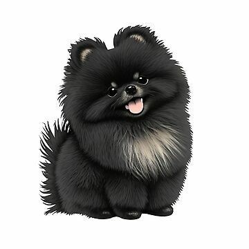 Из интернета.