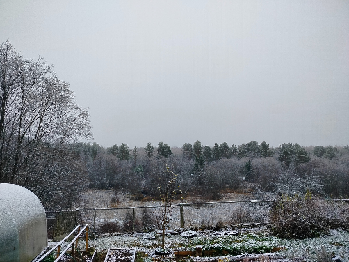 01ноября2024 года вид из моего окна.