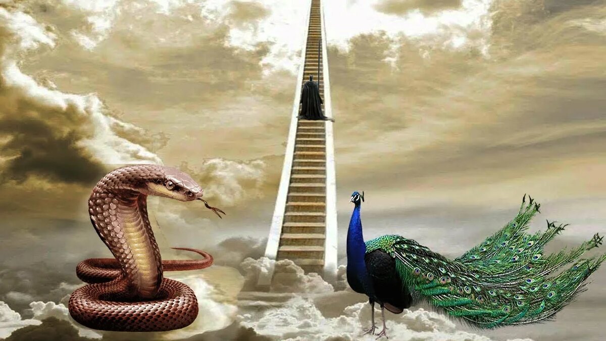 Изображение взято из открытых источников