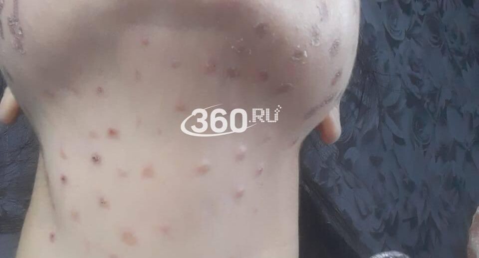     Телеканал «360»