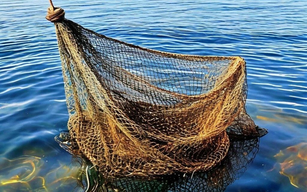 Фото: пресс-служба ГУ МЧС России по Челябинской области