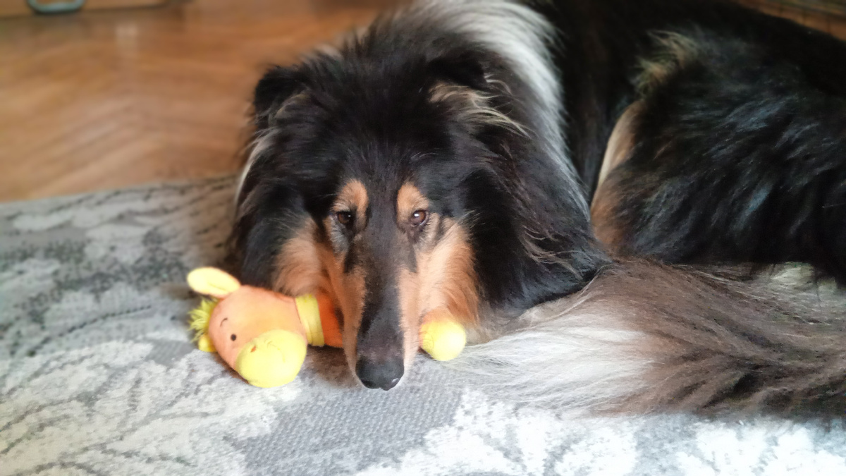 Фото из личного архива