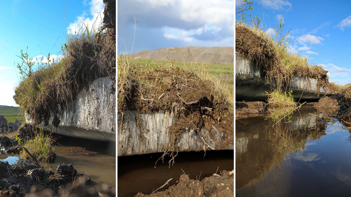 Фото: Ольга Александрова