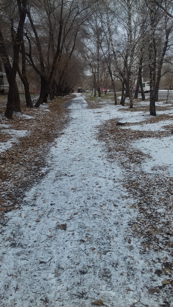 снег в Красноярске. Фото автора.
