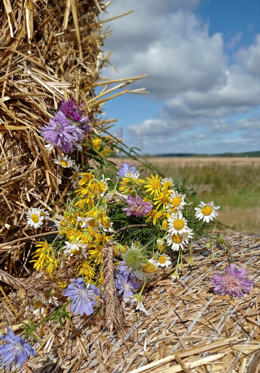 1. Букет «Из детства»