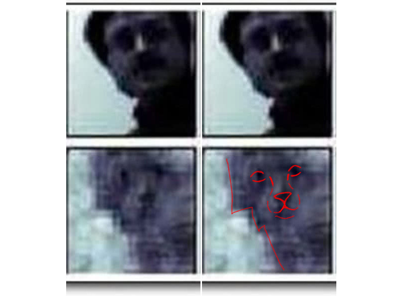 Нужны ли ещё доказательства, что кошки перестраивают реальность под свои хотелки?