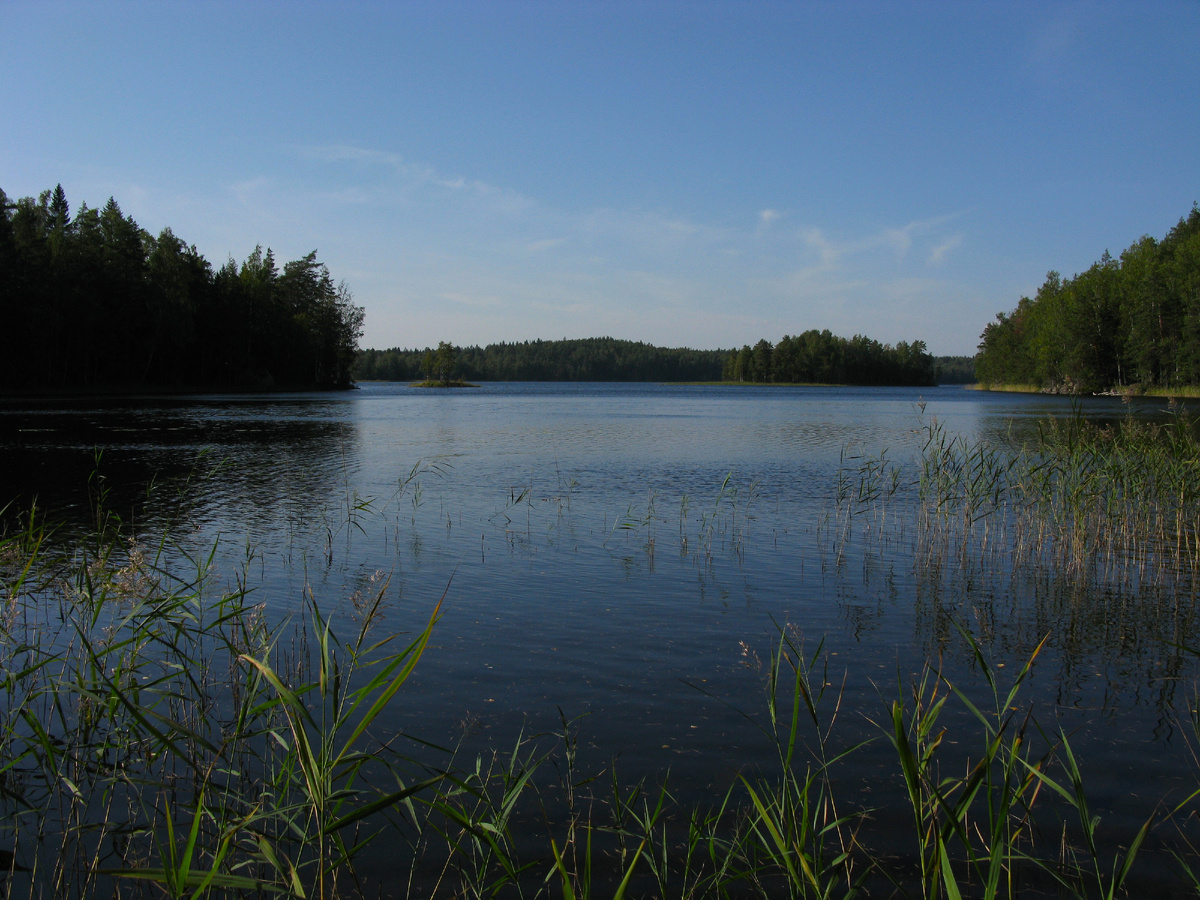 Сысоевское озеро. Вид в сторону карьера.