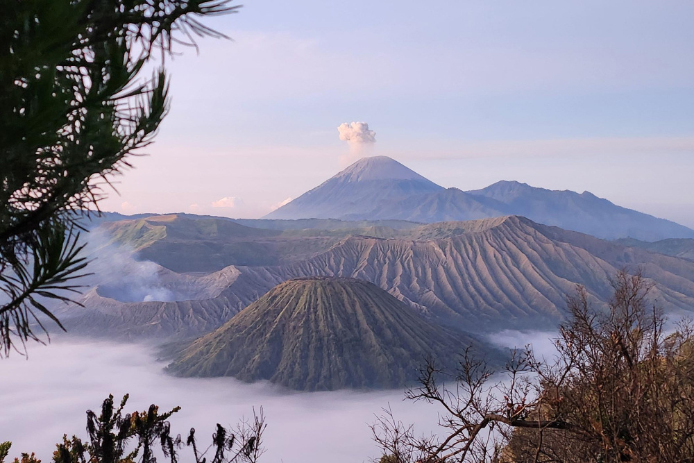    Фото: Nur Syaireen Natasya Binti Azaharin