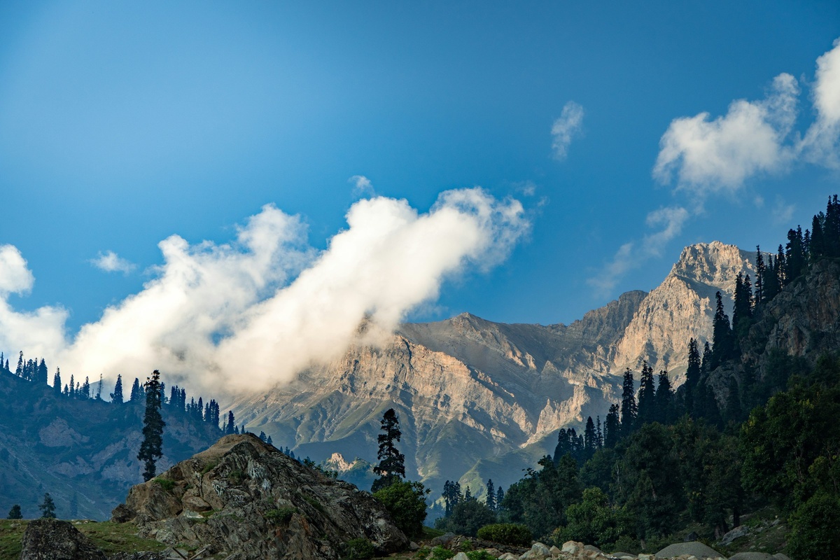 Фото с бесплатного фотостока https://unsplash.com, автор Sayan Majhi