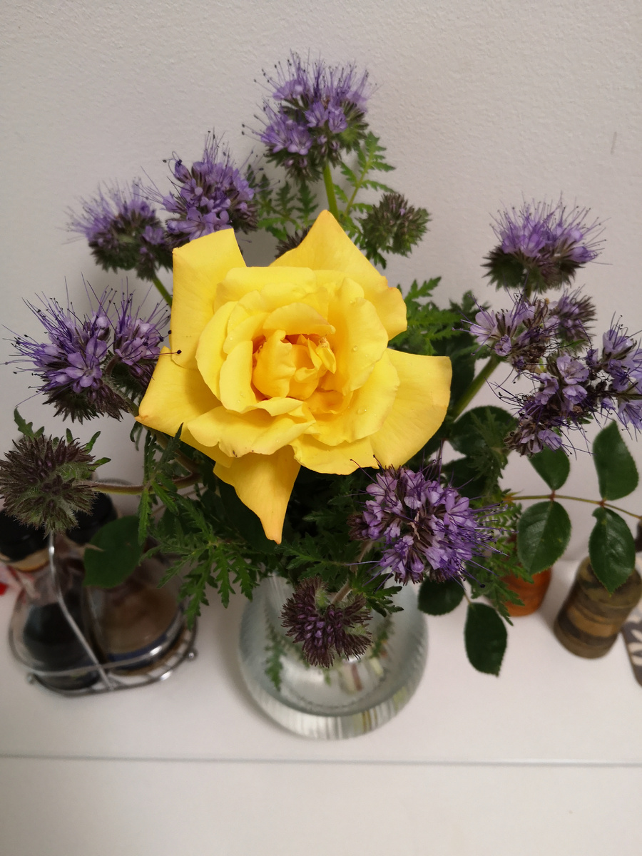 2. Букет июньский