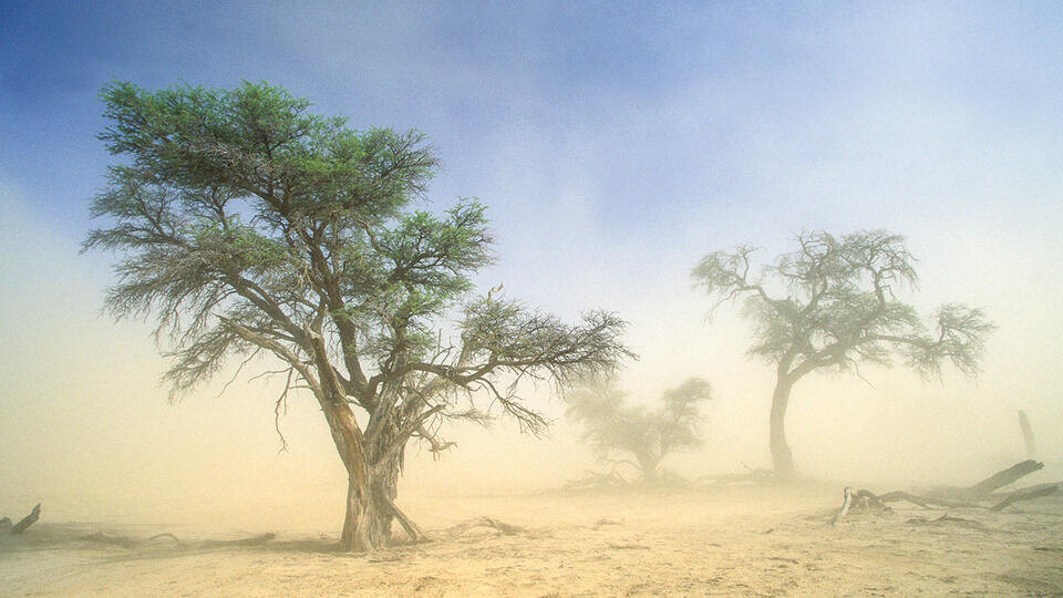 Фото: © Global Look Press/Nigel Dennis/imageBROKER.com