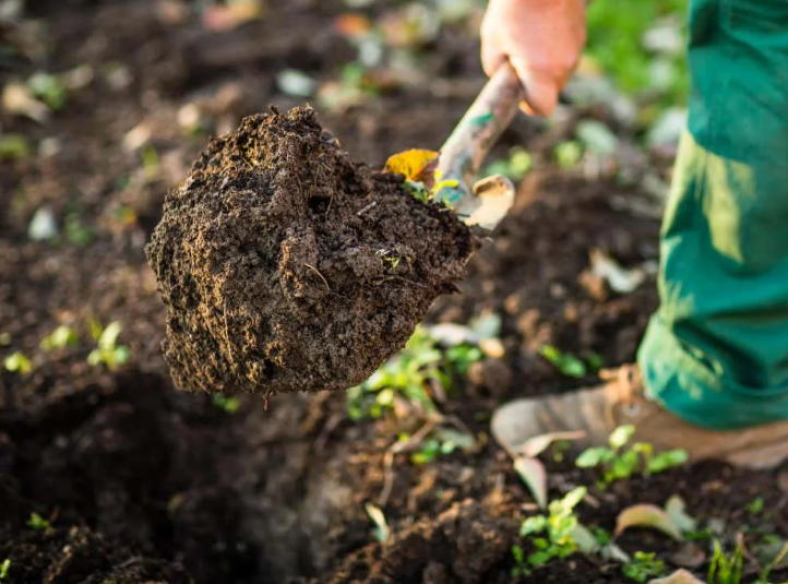 не помешает песок в качестве разрыхлителя