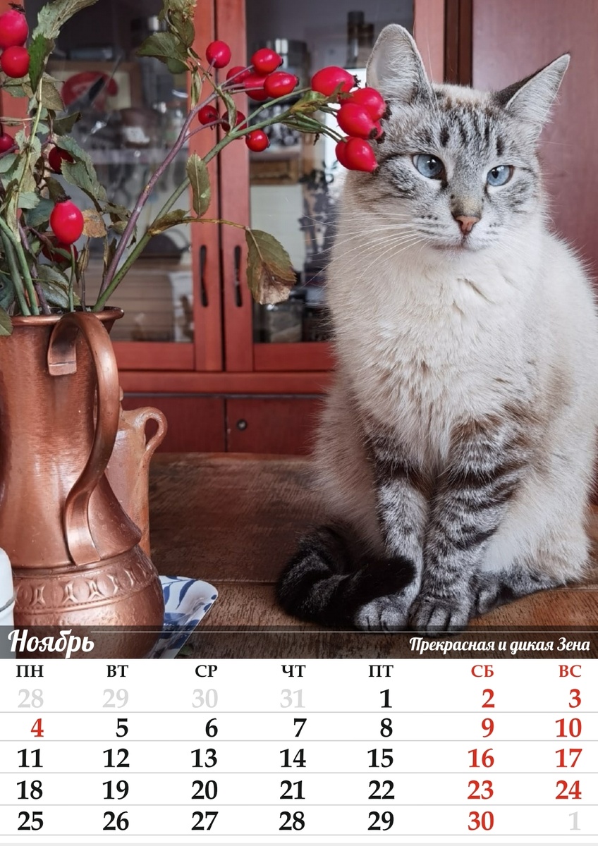 Зена — королева воинов и Оськиного дома