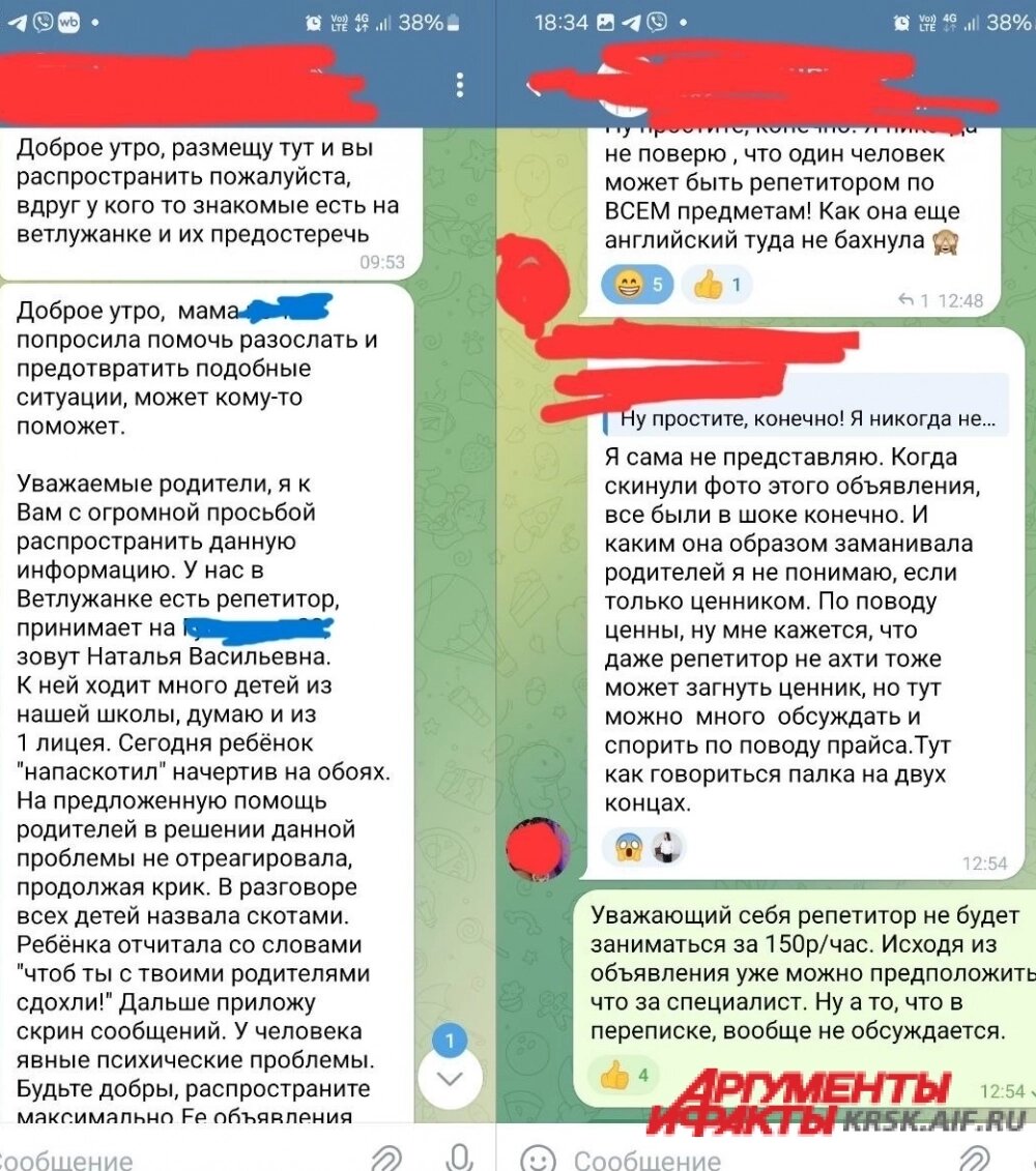    Публикации с сообщение о репетиторе появлялись в разных родительских и педагогических чатах. Фото:  АиФ/ Предоставлено Ириной