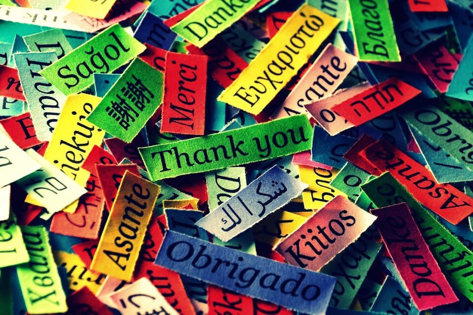 Фото и иллюстрации взяты из открытых источников и принадлежат их авторам