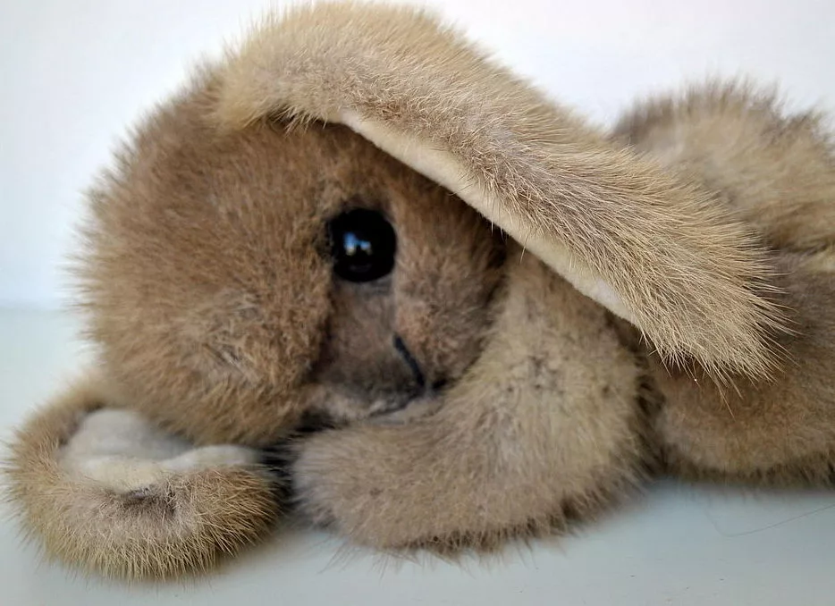 яндекс картинки