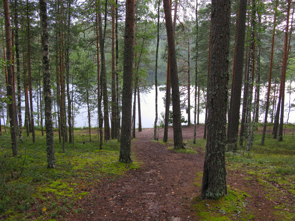 Спуск к Окунёвому озеру.