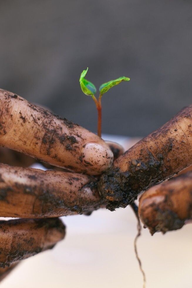 Фото из Pinterest